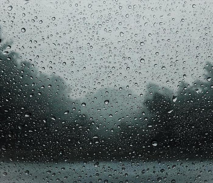 Rainy Day