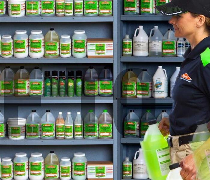woman with cleaning products